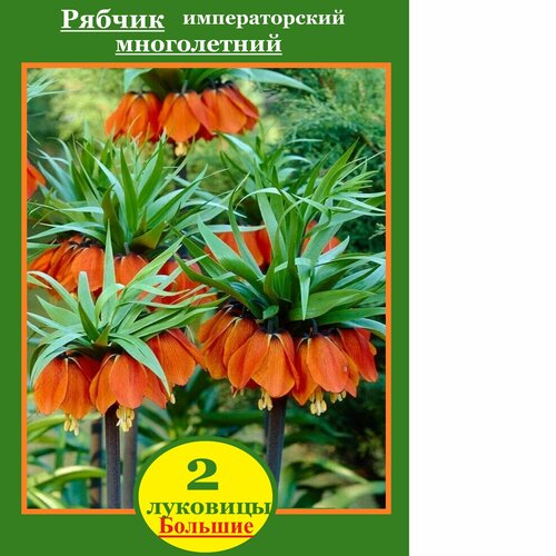 ���� �������� ������ ������������� ����� 2 �����