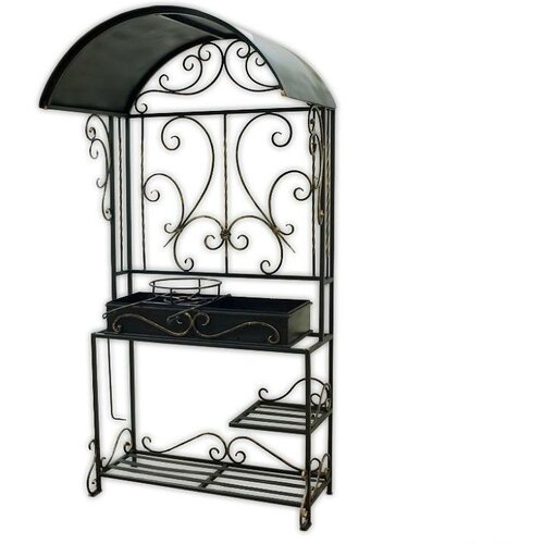 ���� ������ 