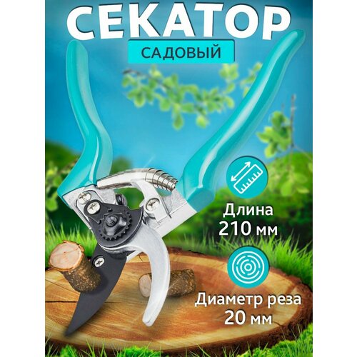 ���� �������� ��� �������