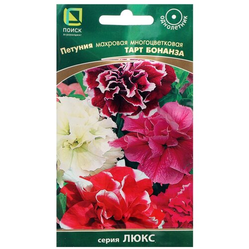 ���� ������ ����� ������� �������� �������������� ���� �������, 10 ��