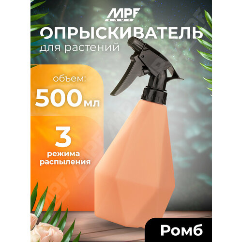 ���� ������������� ����, 500 ��, ����������