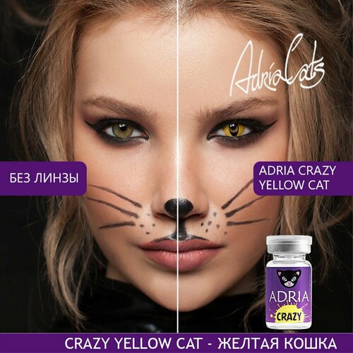     ADRIA Crazy, 1 ., R 8,6, D 0, yellow cat, 1 .  -     , -  