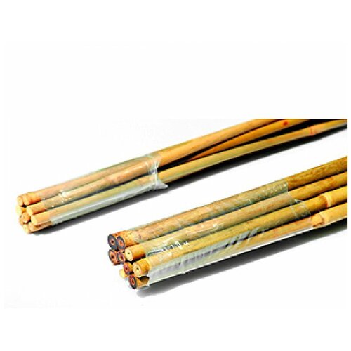 ���� ��������� ��� �������� ���������� GREEN APPLE 90�� ? 10�� ����� 5�� GBS-10-90