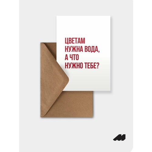 ���� �������� meswero / lys / �����
