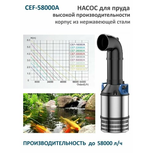 ���� ����� ��� ����� CEF 58000A ������� ������������������