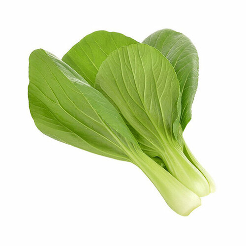   Click And Grow   Click And Grow Pak Choi 3 .    Click And Grow    -     , -,   