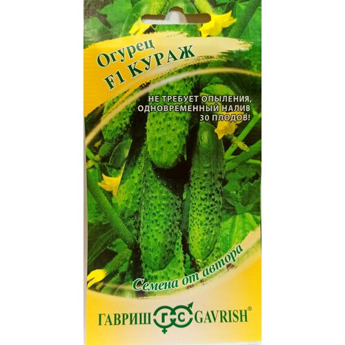 ���� ������ ������� �����