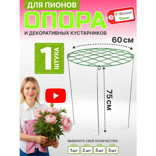 ���� ����� ��� ������ ������������ �����, ������� 60 ��, ������ 75 ��