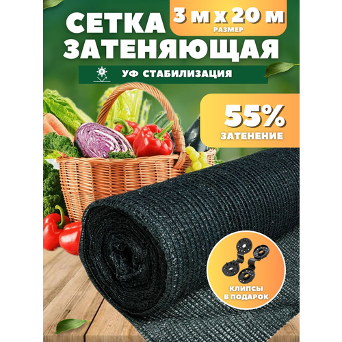 ���� ����� ���������� �������, ��������� 55%, ������ 3�20�