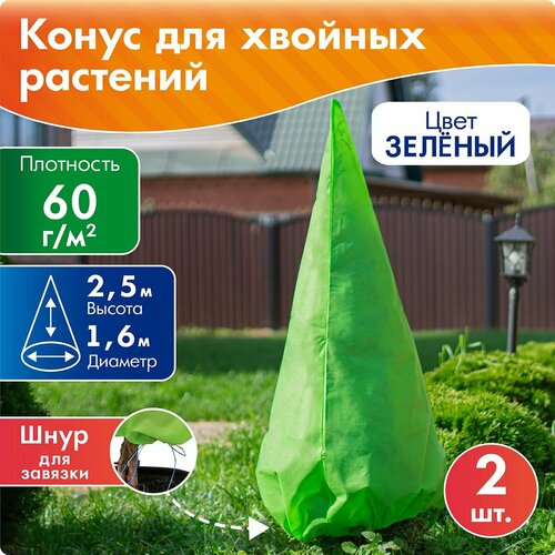 ���� ����� �� ��� �� ���� 2,5 �*1,6 �, 2 ��, �������