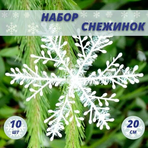 ���� �������� ��� ������, ���������� ���������, ��� ������ ����, ����� 10 ��