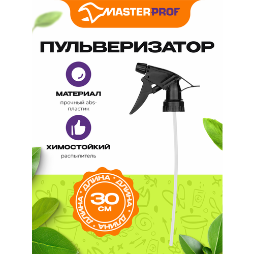 ���� ������� MasterProf, �����������, ����� 30 ��, �������, ������