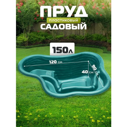 ���� ������� ���� ������ 150 �, �������, �����������, ������