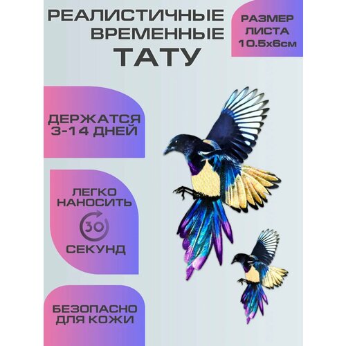 ���� ���������� ����������, ���� ��������� ������ �����