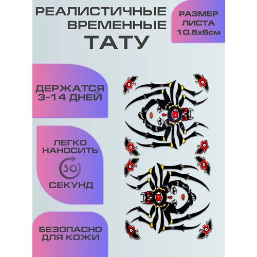 ���� ���������� ����������, ���� ��������� ����