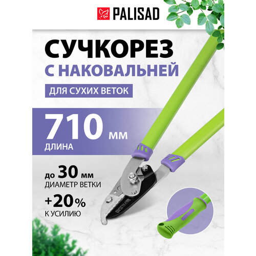���� ��������  PALISAD 60520 710
