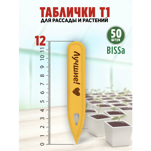        , Bissa 1, , 50   -     , -  