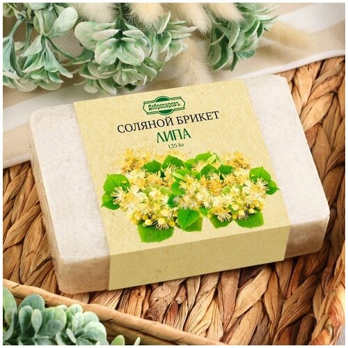 ���� ������� ������ � ���������� ������� 