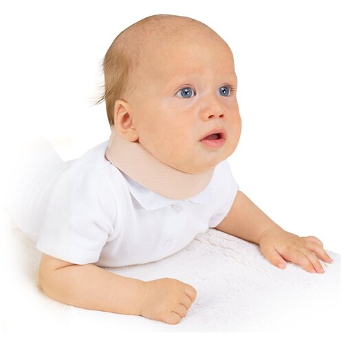 ���� ORTO ������ ������ ��� ��� ������������ � �������������, ������ 1, ������2.7 ��, ����� 28 ��, �������