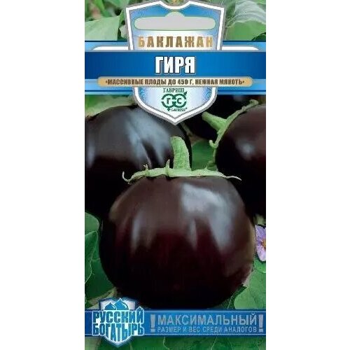 ���� �������� ����, ������ ������ ������� �������� 0,1�