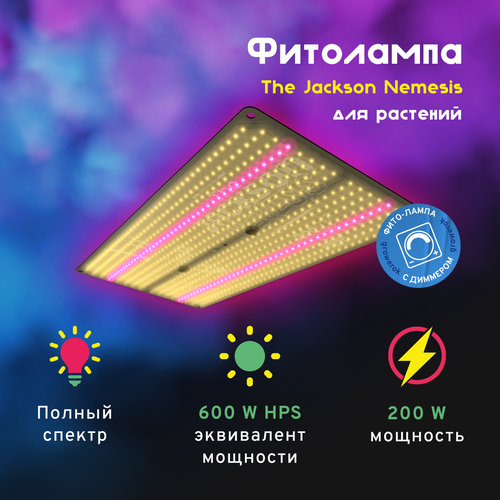   LED  The Jackson Nemesis 200W    -     , -,   