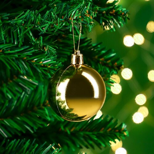 ���� ���� ������� �������, ���������� ���� ���, ����� ����� 6 �� 7�� �������, ������