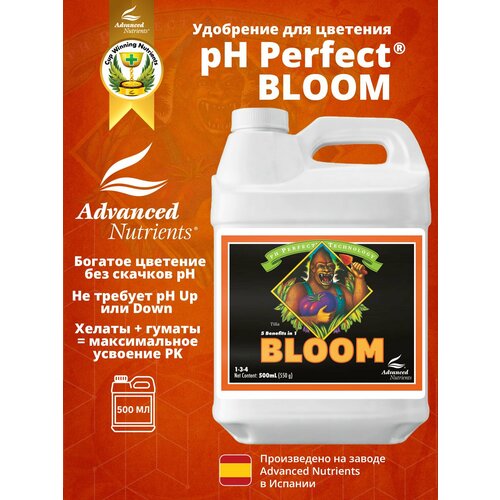 ���� PH Perfect Bloom
