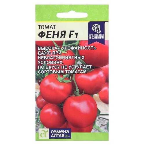 ���� ������ ������ 