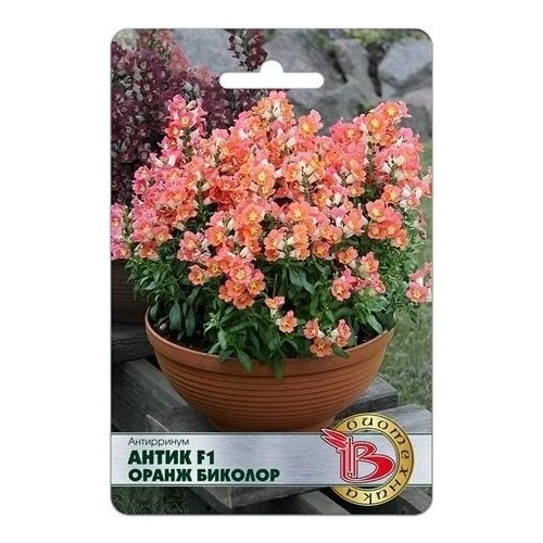 ���� ���������� ����� F1 ����� ������� , ����� 20 ��