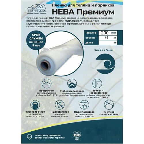 ���� ������ ���� ������� 200 ���, 5 ��� ��� ������, 6*2 �����. �����������, ������������, ������������� ������ ��� ������ � ��������.