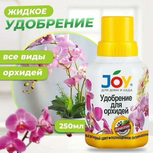      JOY 0,25   -     , -,   