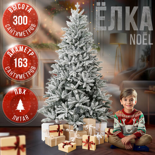 ���� ������������� ���� BINOSHE No�l ����������� 300 ��