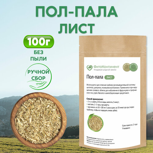 ���� ���-���� (���� ����������) (������), 100��