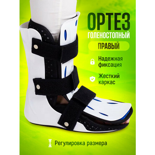 ���� ������ �������������- ����� �� ���������� ������ L