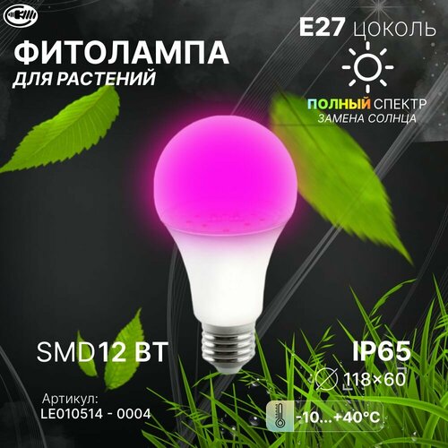        12W E27  .  / LEEK LE FITO LED A60 12W E27    -     , -  