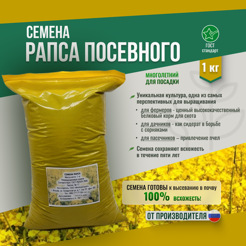 ���� ������ ����� - 1 �� ������������