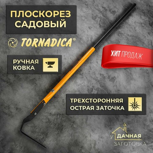 ���� ��������� ������� ������