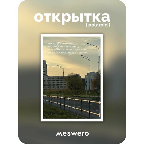 ���� �������� meswero signature / polaroid / ��������