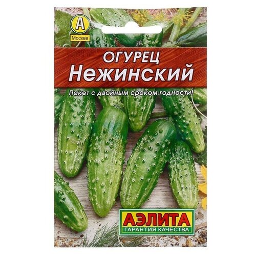 ���� ������ ������ 