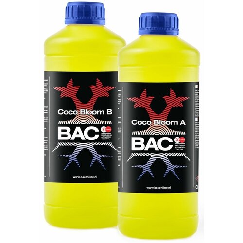      B.A.C. Coco Bloom A+B 1 ,    ,      -     , -,   