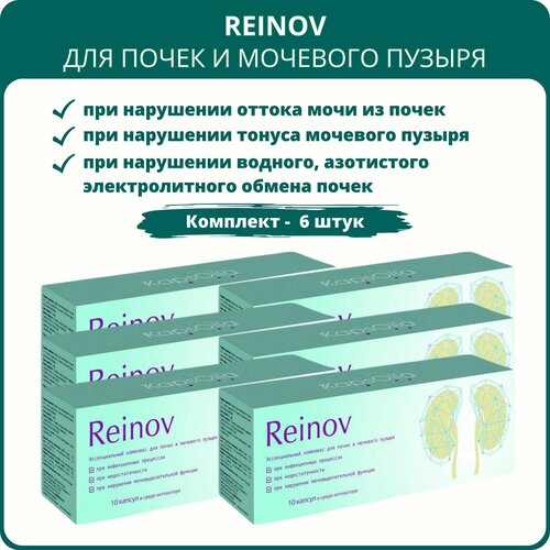 ���� Reinov Kaps�ila (������ ��������) - �������� ��� ����� � �������� ������, 10 ������, ����� 6 ����