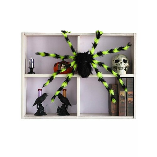 ���� ���������� �������� ���� 75 �� �������� �������