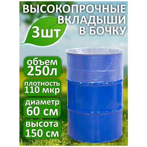 ���� �������� � �����