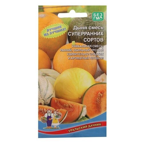 ���� ������ ���� 