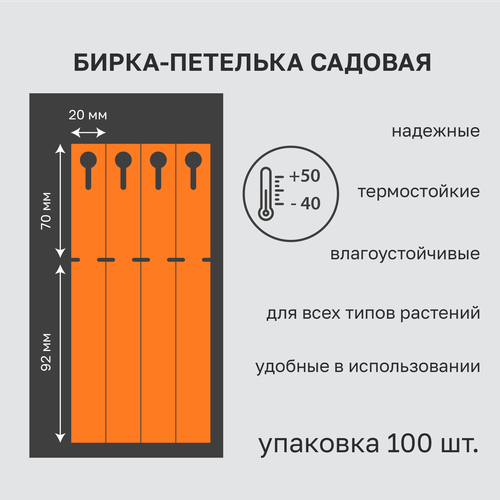      20x162 ( 70.) 100 