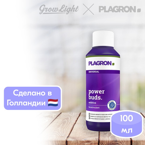      / Power Buds, 100  / Plagron  -     , -  