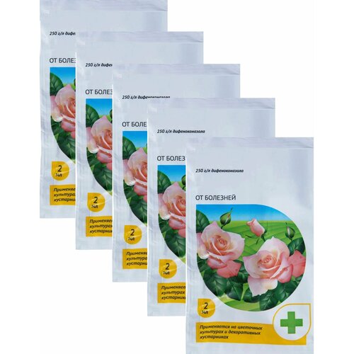 ���� �������� �� �������� ��� � ������ ��������� �������, 5 ����� �� 2 ��. ����������� �������� ��� ������ � ������������� ��������� ����, ����� ����� � ������ �����������