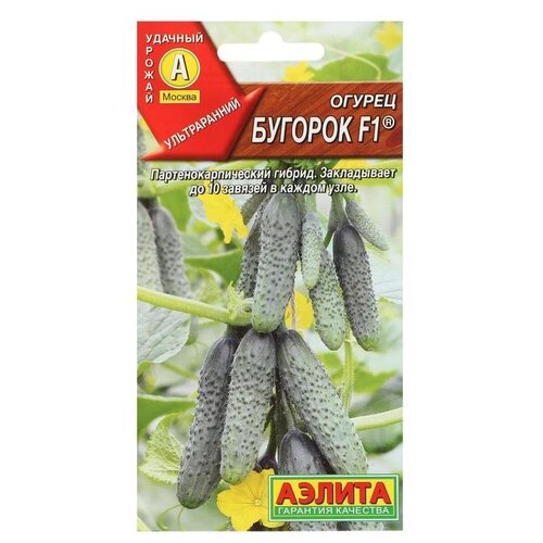 ���� ������ ��������� ������ ������ ������� F1, 10 ��