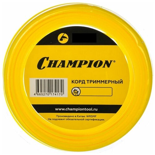       CHAMPION C5025, 2.4, 12  -     , -,   