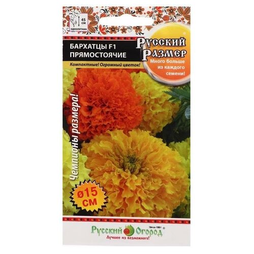 ���� ������ ������ �������� ������������, F1, ����� ������� ������, �����, 7 ��